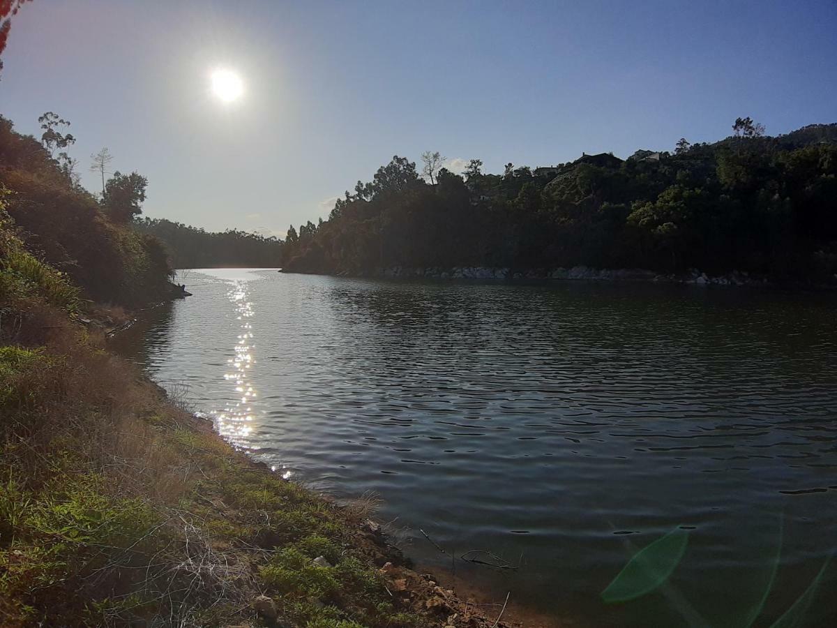 River House Sejaes Oliveira de Frades Bagian luar foto